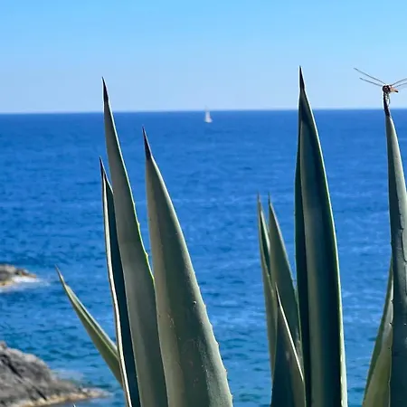 Punta Prima - Sun & & Golf & Bike - Spanish South-facing Terrace - La Recoleta - By The Sea Apartment Torrevieja