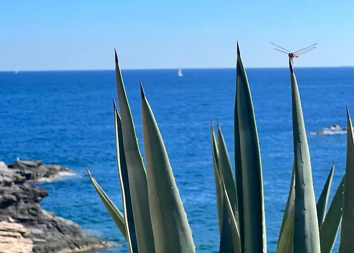 Punta Prima - Charming Spanish With South-facing Terrace By The Sea Daire Torrevieja